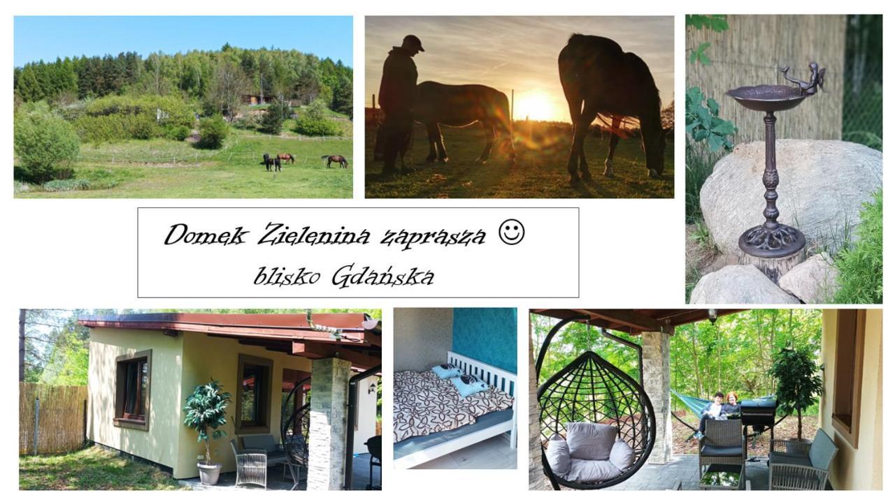 Domek Zielenina Mierzeszyn Exterior foto